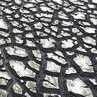 thumbnail for publication: Florida Biosolids: Rules for Biosolids Classes